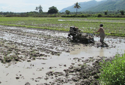  Làm đất chuẩn bị gieo sạ lúa Hè Thu tại xã Suối Hiệp (Diên Khánh)