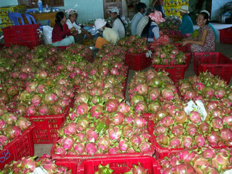 Việt Nam và EU chính thức khởi động đàm phán FTA