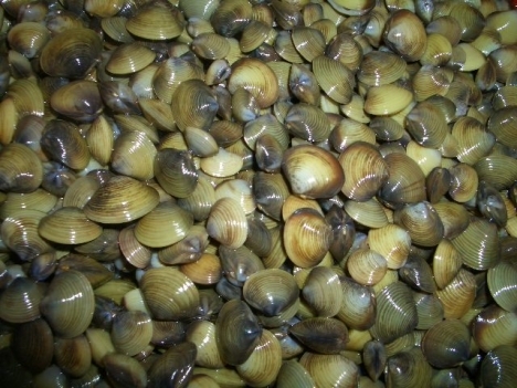 Món ăn cho trẻ bị còi xương