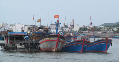  Hy vọng của các đội tàu đánh bắt cá ngừ đại dương bỗng chốc tiêu tan do mô hình bị đổ vỡ.