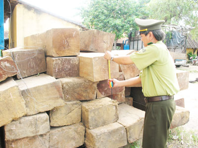 Xử lý 276 vụ vi phạm Luật Bảo vệ và phát triển rừng