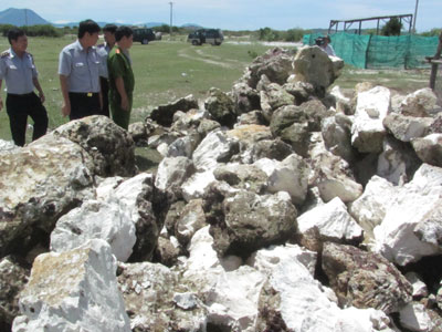 Ông Bùi Lân, Đội trưởng Đội Thanh tra số 4, thuộc Thanh tra Sở Nông nghiệp và Phát triển nông thôn cho biết: Sau một thời gian mật phục, Đội Thanh tra liên ngành vừa bắt quả tang chiếc xe tải biển kiểm soát 79C-00528 do tài xế Lê Đình Du