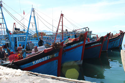 Được mùa, ngư dân yên tâm bám biển