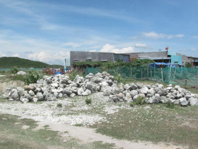 Cần quyết liệt hơn