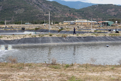 Nông dân vẫn thiệt