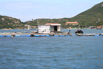 Diện tích nuôi trồng thủy sản đạt 560ha