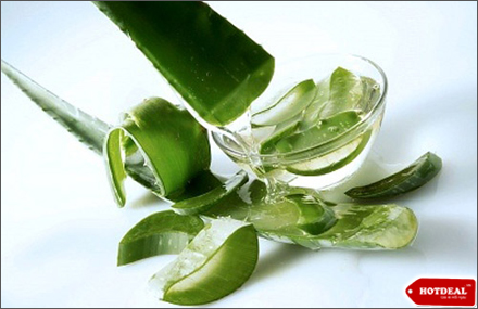 Gel lô hội đẹp da và tóc