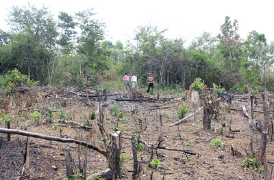 Phập phồng lo cháy rừng