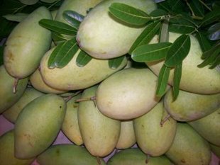 Mách bạn: Những loại trái cây hay bị ngâm hoá chất