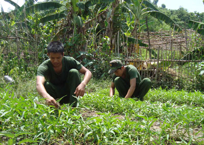 Chiến sĩ Đại đội 19 Công binh tăng gia sản xuất, cải thiện chất lượng bữa ăn, đảm bảo sức khỏe để hoàn thành tốt nhiệm vụ được giao.