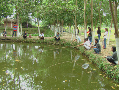 Câu cá thư giãn ở ngoại thành