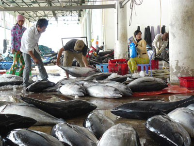Thương hiệu cá ngừ đại dương… lung lay