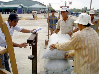 Ảnh minh họa.