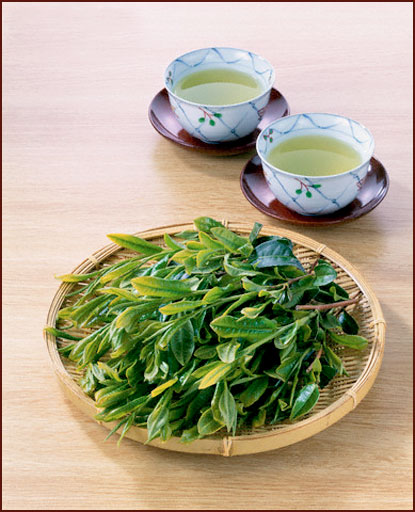 6 đồ uống chống lão hóa