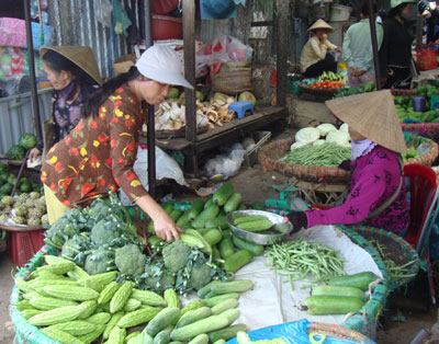 Trăm khó đổ đầu… người tiêu dùng