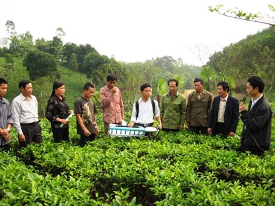 Sẽ thí điểm 3 loại thẻ học nghề nông nghiệp