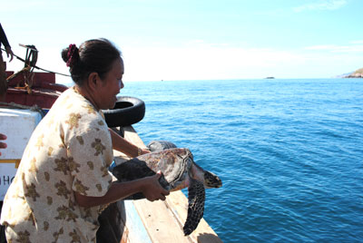 Một người dân nhiều lần thả đồi mồi về biển