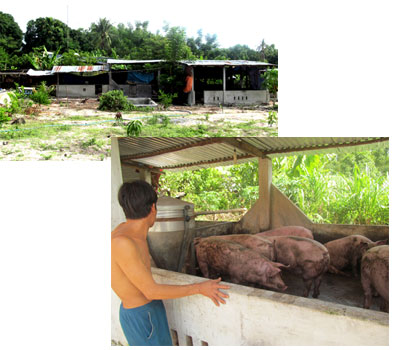 Cần có giải pháp triệt để