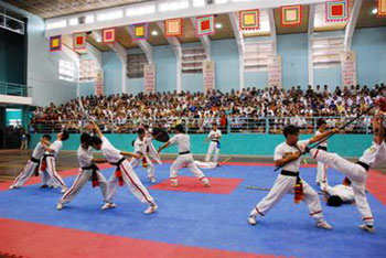 Võ cổ truyền Việt Nam gia nhập đại gia đình võ thuật thế giới