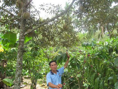 Mô hình thích hợp