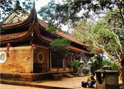 Phải lấy ý kiến của tổ chức, cá nhân và công khai dự án tu bổ di tích