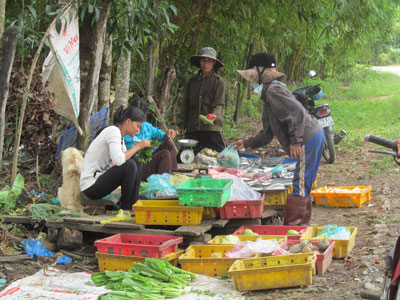 Cần đa dạng dưới nhiều hình thức