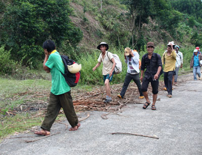 Đã lập lại trật tự ở khu vực tìm kiếm kỳ nam