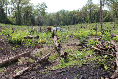 Ngổn ngang trăm mối