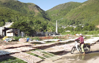 Ô nhiễm môi trường do phơi hải sản