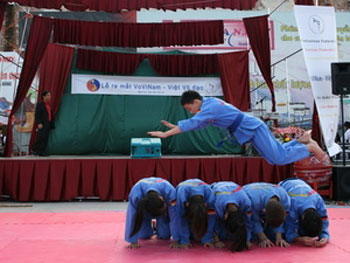 Môn võ truyền thống Vovinam lần đầu ra mắt ở Đức