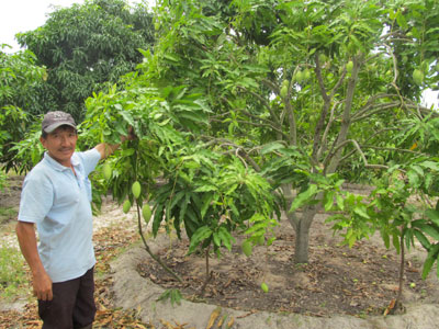 Cần nhân rộng