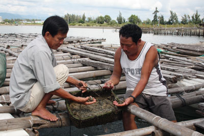 Nỗi lo ô nhiễm môi trường