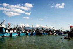 Công bố danh sách khu neo đậu tránh trú bão hàng năm