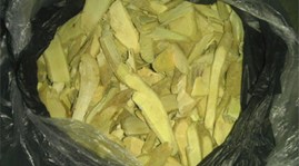 Không nên sử dụng cây "xáo tam phân" chữa bệnh xơ gan