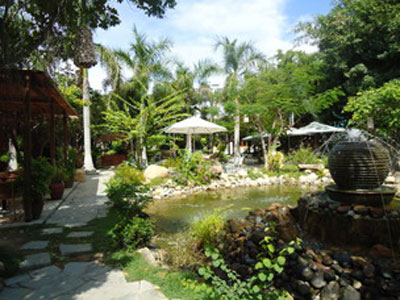 Vườn Cà phê Bốn Mùa - Đam Mê!