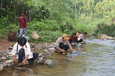 Rủ nhau lên núi hái măng