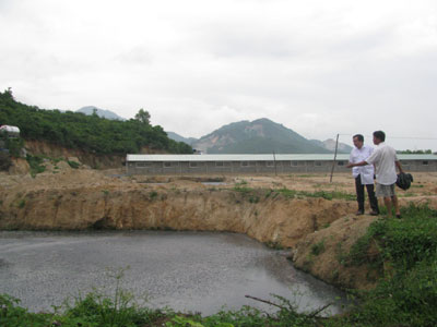 Toàn cảnh trại chăn nuôi và phần hồ chứa chất thải của gia đình ông Thông.