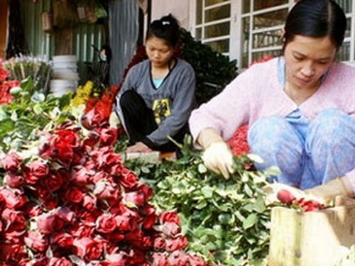 Hoa hồng dịp lễ 20-10 không "sốt"