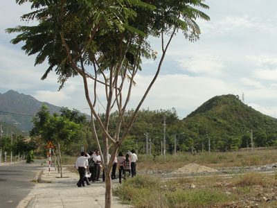 Tập trung giải quyết tái định cư cho các dự án có nhu cầu