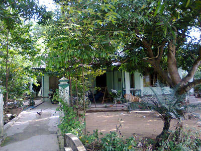 Bất an với nạn trộm cắp gỗ sưa