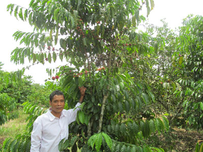 Đồng bào dân tộc thiểu số học cách làm ăn mới