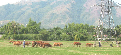 Cần vận động nhân dân tích cực tham gia xây dựng nông thôn mới
