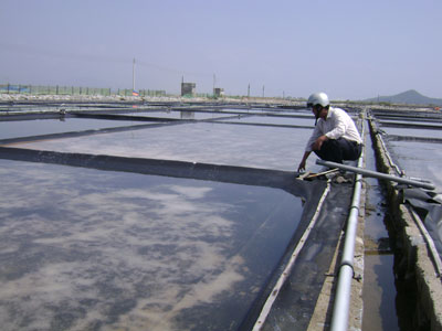 Khánh Hòa sản xuất hơn 35 ngàn tấn muối