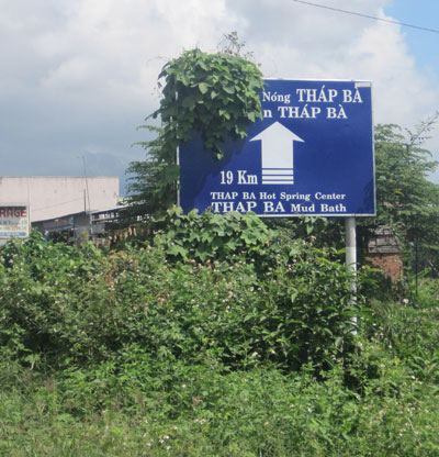 Cây che khuất biển chỉ dẫn