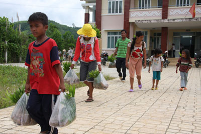 22 ngàn cây keo giống được cấp cho người dân