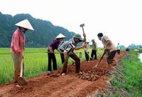 Chấn chỉnh việc thu khoản đóng góp của nông dân