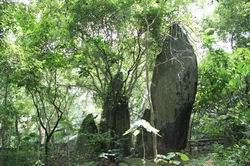 Thành lập Khu rừng K9