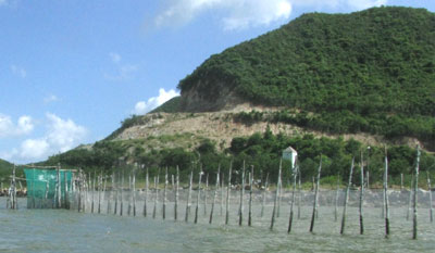 Nuôi trồng, đánh bắt hải sản chưa hợp lý