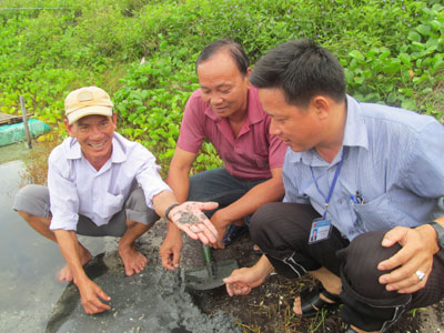 Cho sinh sản thành công sá sùng