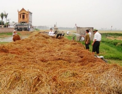 Ứng dụng công nghệ sinh học trong bảo vệ môi trường